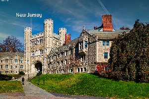 new jersey-Bearbeitet-Bearbeitet